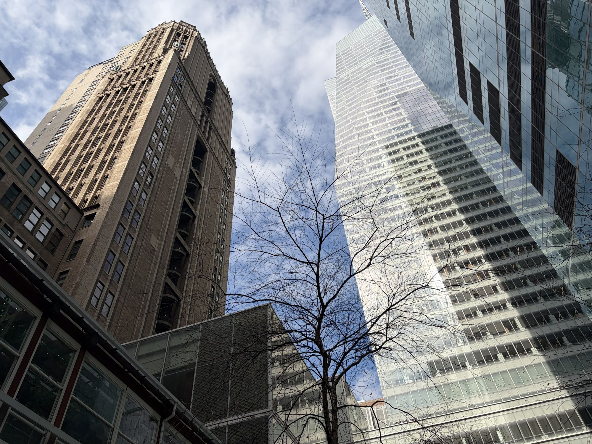 Apple iPhone 17 camera sample.