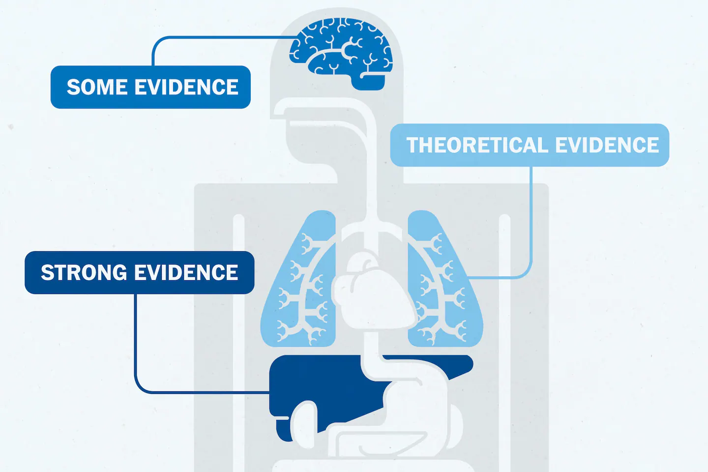 What Ozempic and other GLP-1 weight loss drugs do the body