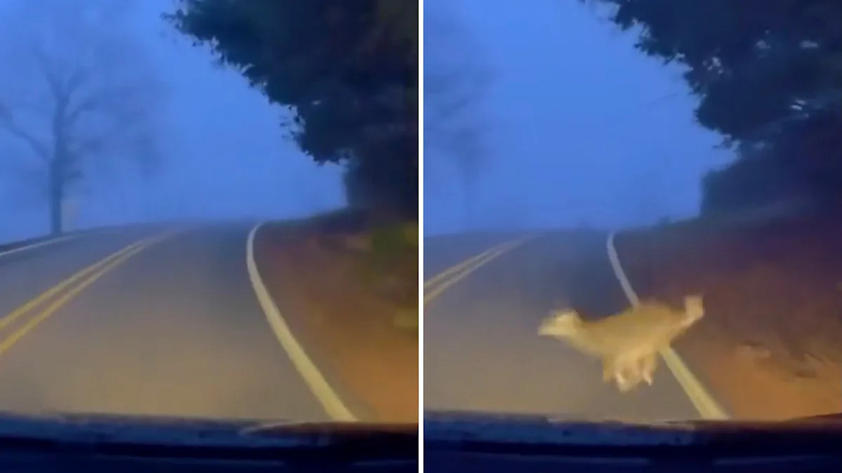 Yahoo lifestyle home