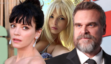 Woman Linked to David Harbour Asked to Leave Lily Allen Producer's Party