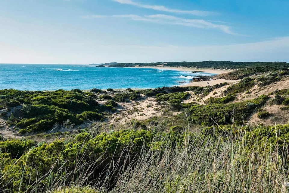 Stock photo of beach near Cape Jaffa, South AustraliaCredit: Alamy