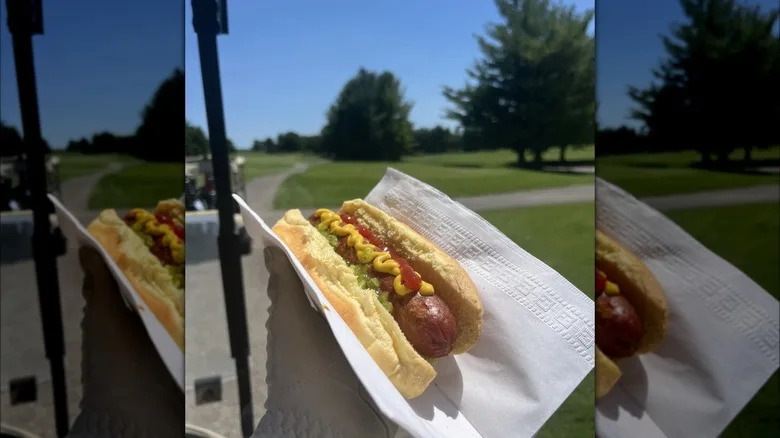 Gloved hand holding a hot dog on the golf course
