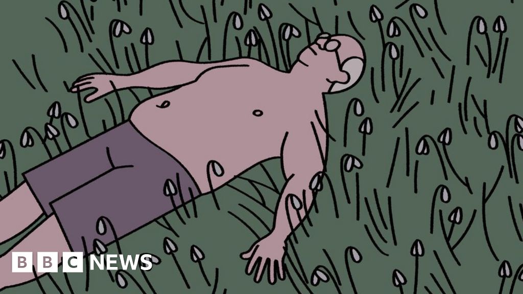 Meet Ray - he only wanted to retire, now he might win an Oscar - BBC