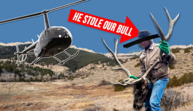 Yahoo lifestyle home