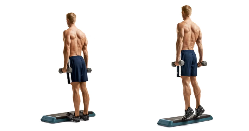 man performing a strength training exercise with dumbbells on a step platform
