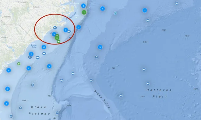 Position of Cayo the great white shark.