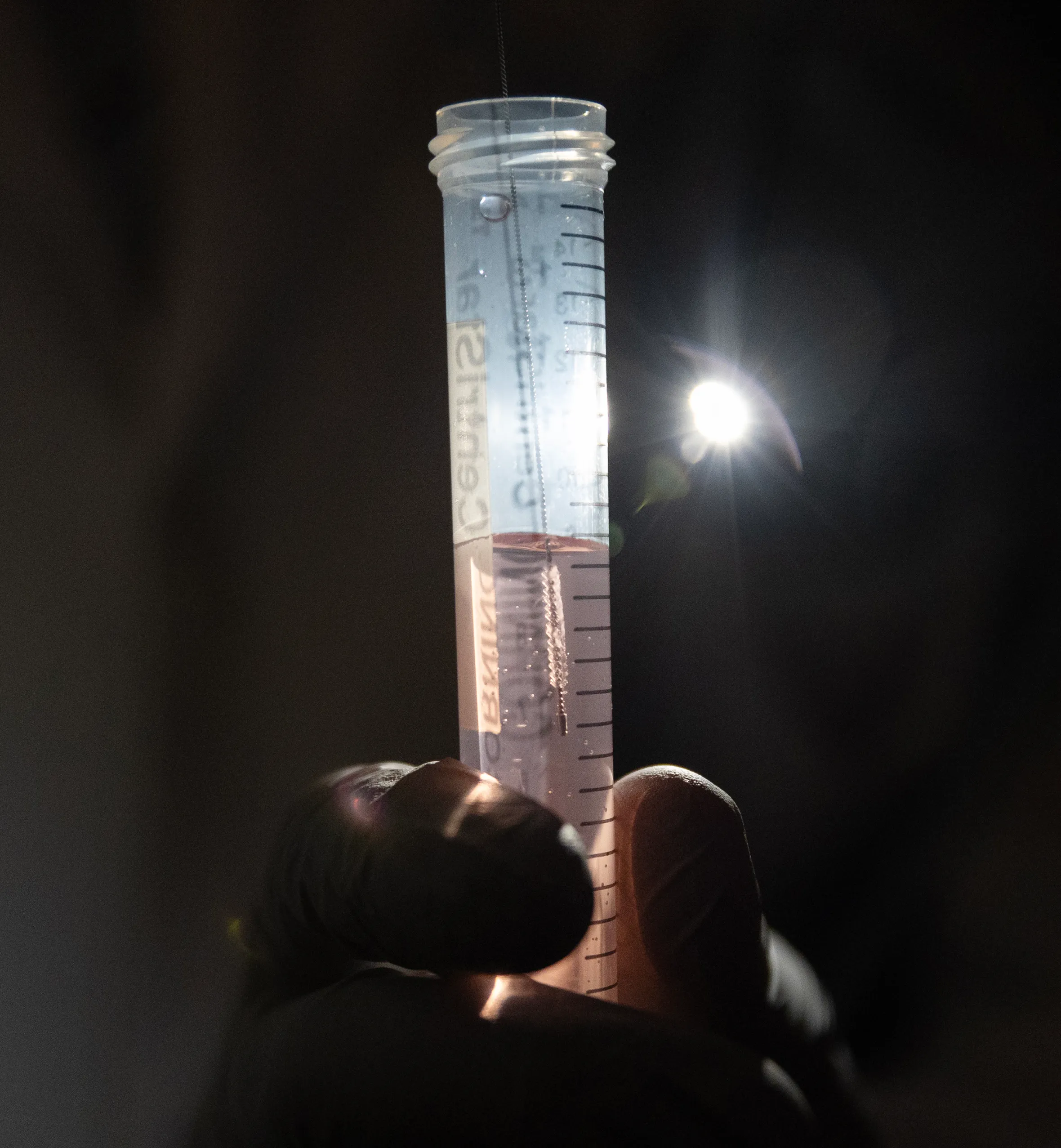 A nasal swab suspended in a test tube, held by a gloved hand, illuminated by a bright light.