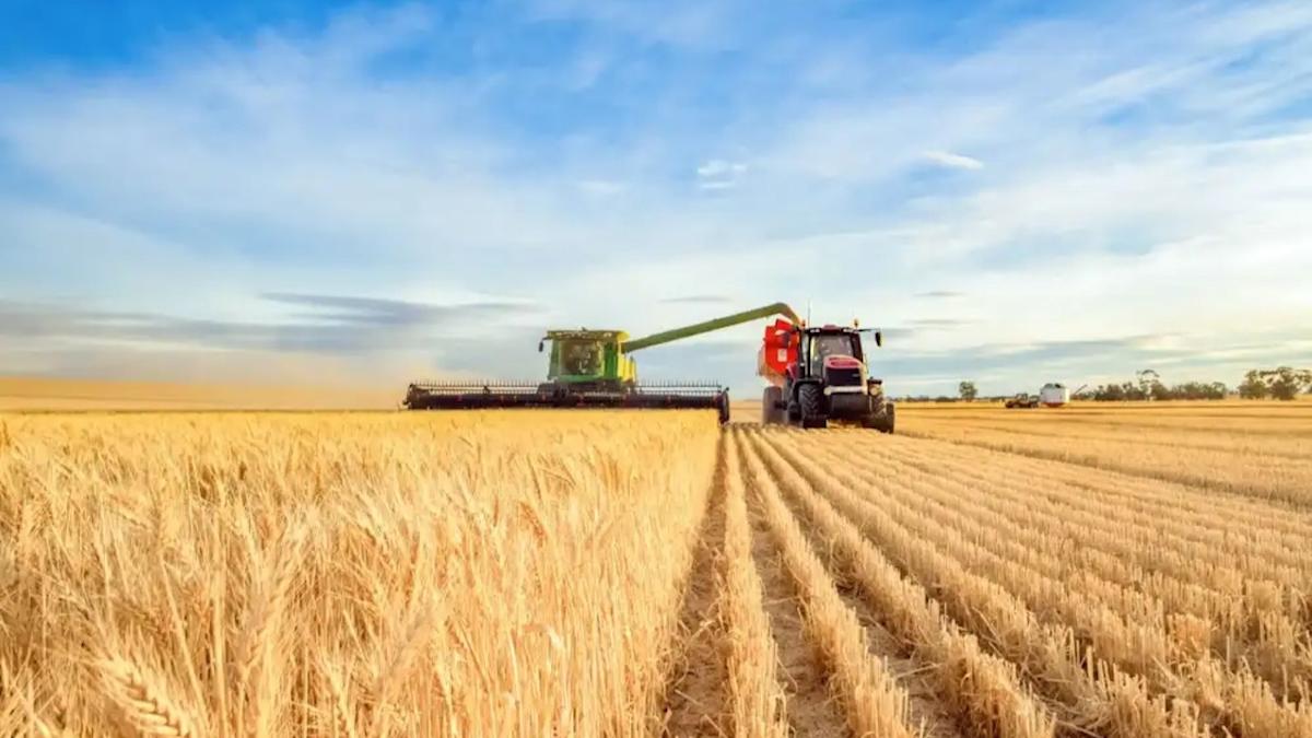 How supply shocks threaten American crops