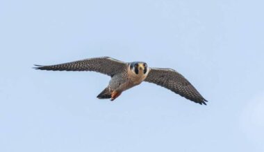 West Deer residents appeal to Commonwealth Court in fight over fracking wells