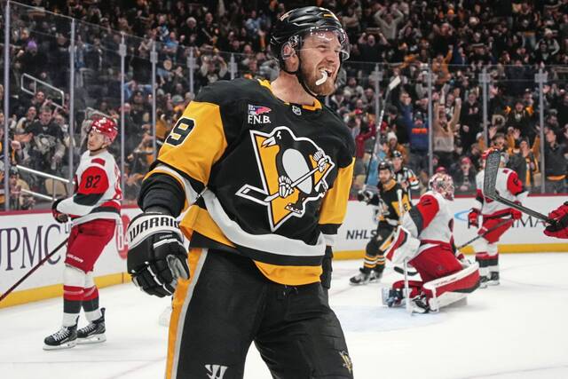 Penguins recall forwards Avery Hayes, Joona Koppanen