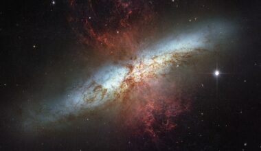 Starburst galaxy M82, otherwise known as the Cigar Galaxy (Credit : NASA/ESA)