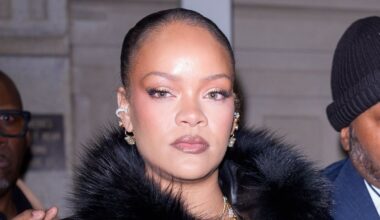 Florida Woman Used AR-15 Weapon to Shoot Rihanna’s Home