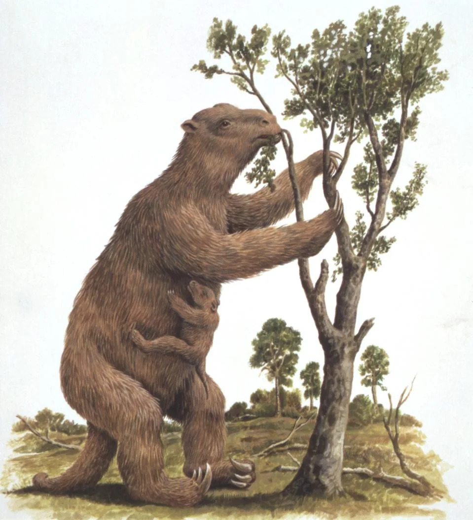 Illustration representing Megatherium