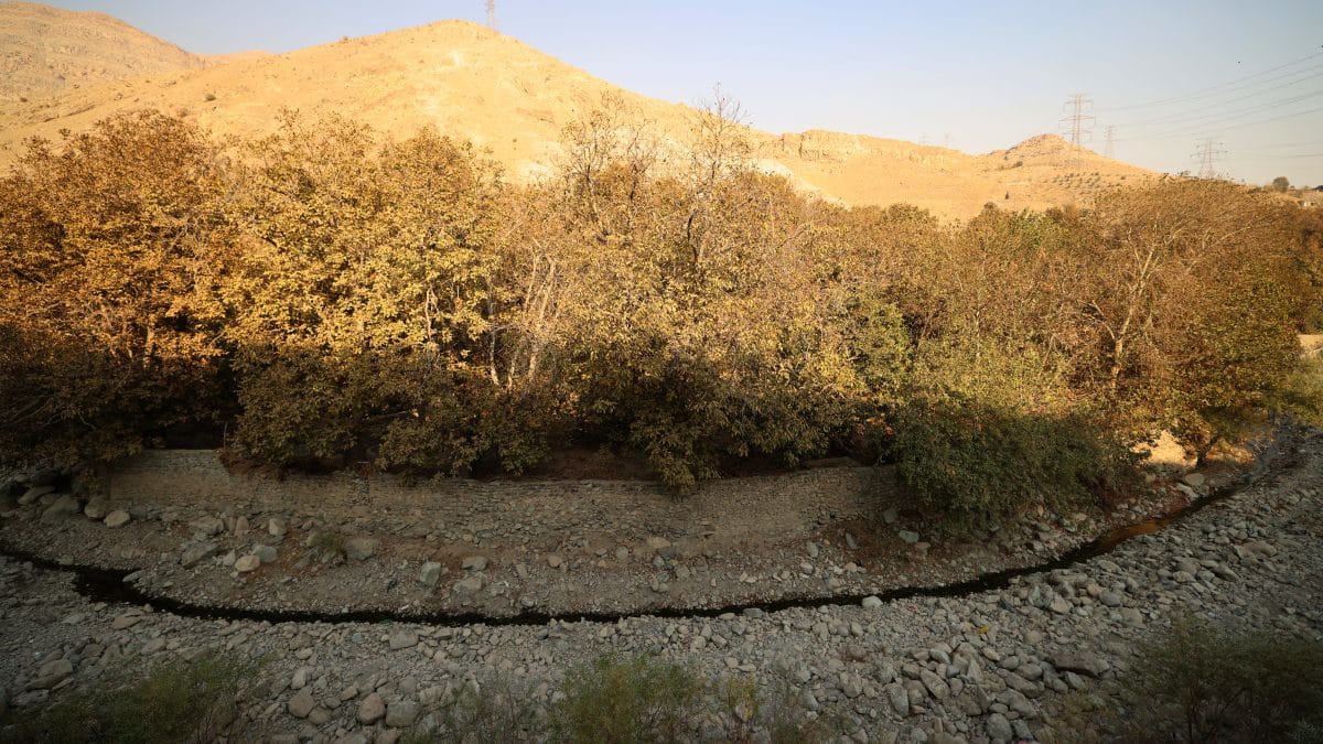 Water shortages emerge as strategic risk in West Asian military conflict – Firstpost