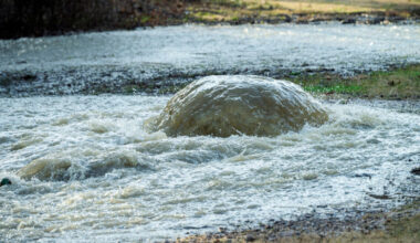 DC health officials lift water advisory on Potomac River after sewage spill