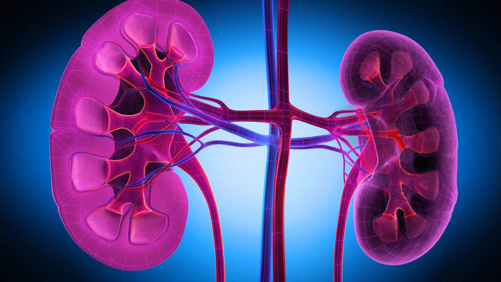 Vertex says drug reduced marker of kidney disease in late-stage trial