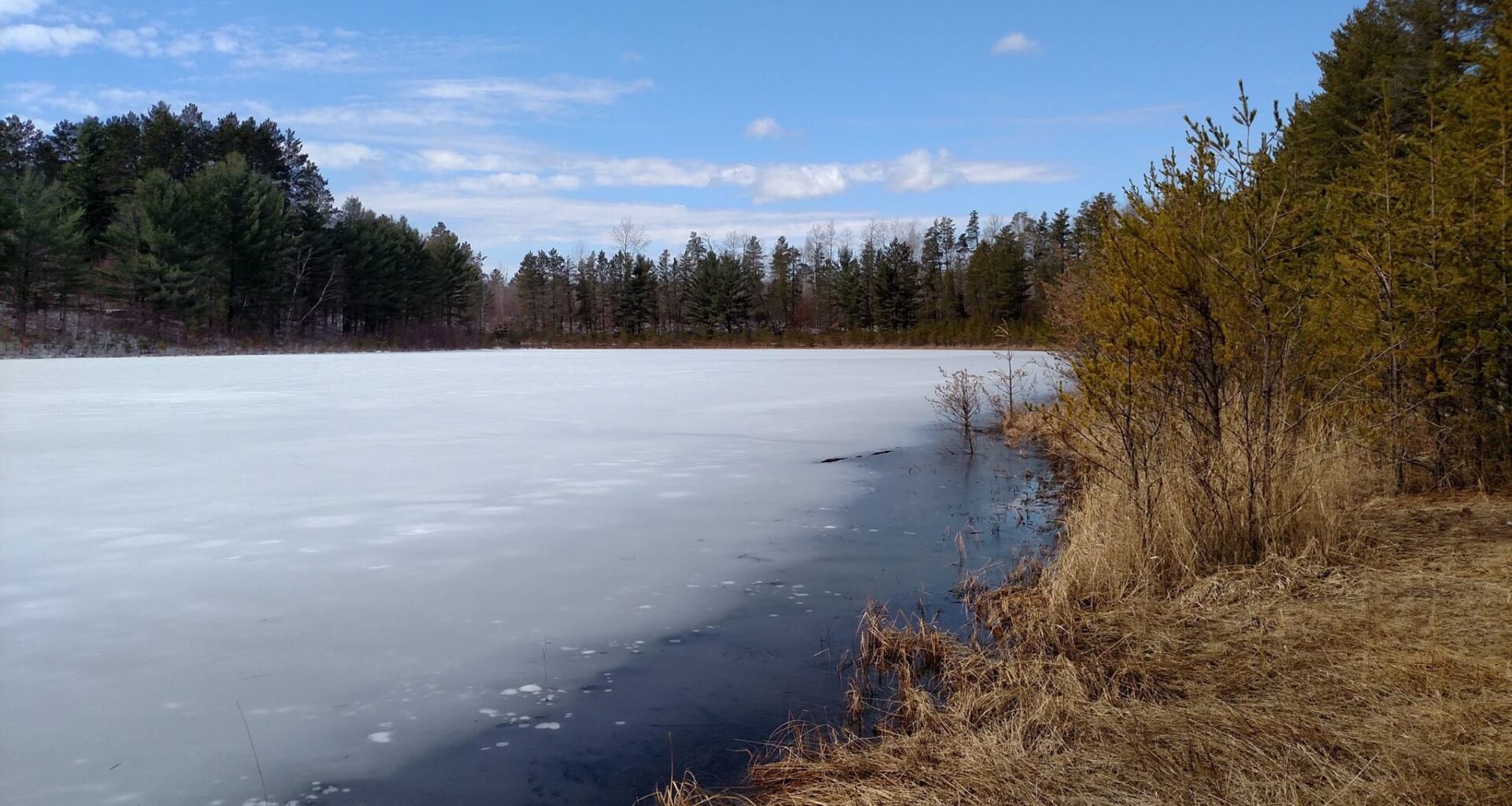 Frozen lake partially melting, surrounded by dry grass and evergreen trees under a blue sky with scattered clouds.