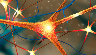 Parkinson's Protein Could Help Explain Alzheimer's Gender Imbalance : ScienceAlert