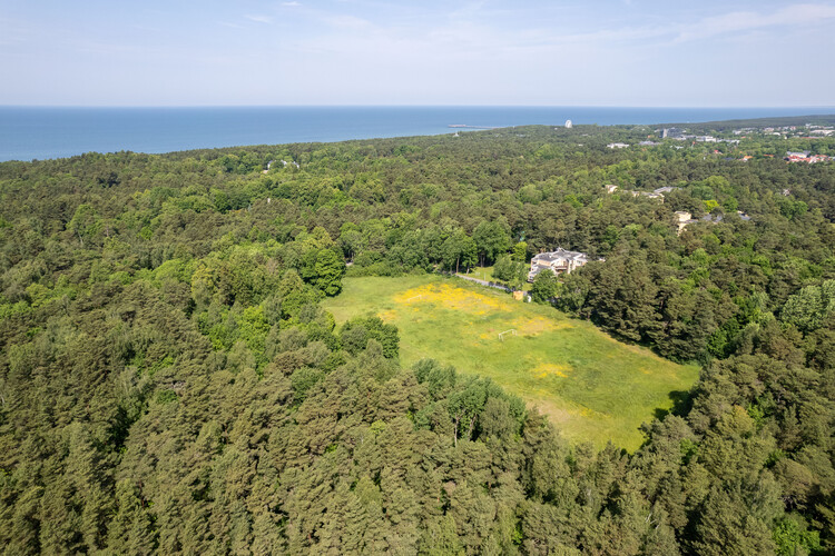 Architectural Concept Design Competition for the “House of Arts” Gallery in Palanga - Image 1 of 1