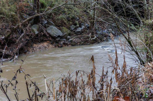 Mallard Creek in Charlotte, N.C., on Friday, February 27, 2026. The creek will undergo a restoration project, where crews will work to restore the flow of a degraded stream.