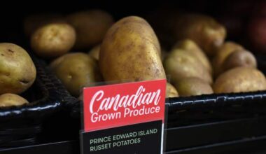 Canada barely sells fresh potatoes to Mexico. That’s about to change - National