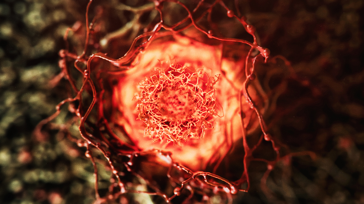 Popular Anti-Aging Supplement May Fuel Cancer Growth – Here's Why : ScienceAlert