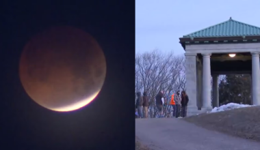 Dozens come to Cobbs Hill Park to see moon's fiery colors for total lunar eclipse