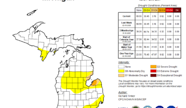 ‘None of this is normal’ – Michigan watches winter drought ahead of growing season
