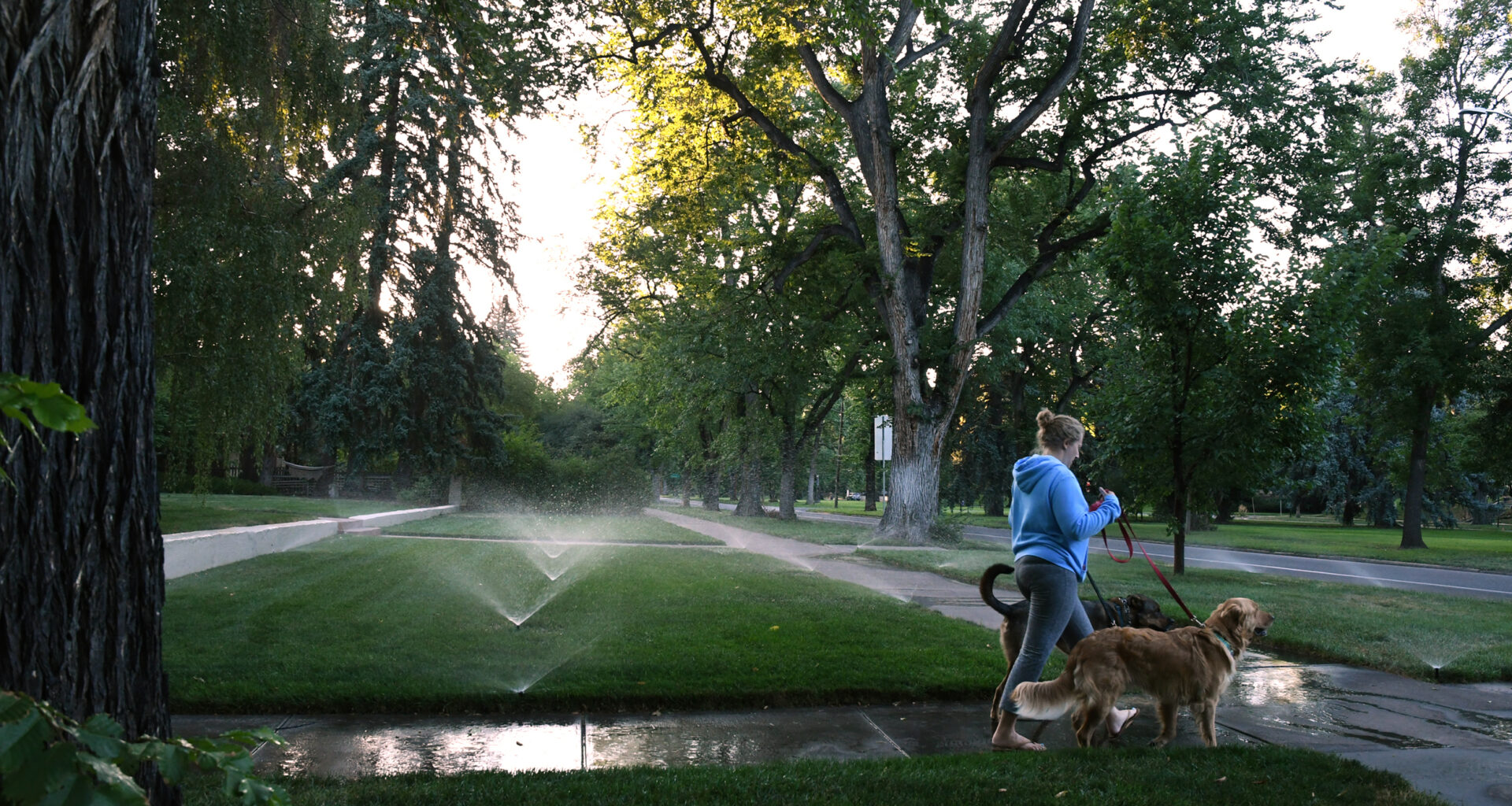 Front Range water utilities fight drought with restrictions, conservation