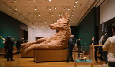 Seattle Art Museum with Kids: Animal Intelligence Exhibit