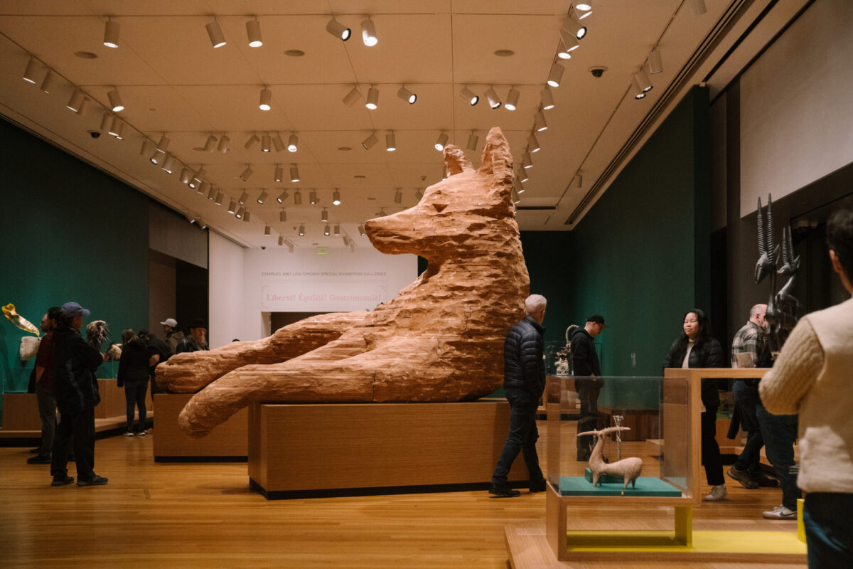 Seattle Art Museum with Kids: Animal Intelligence Exhibit