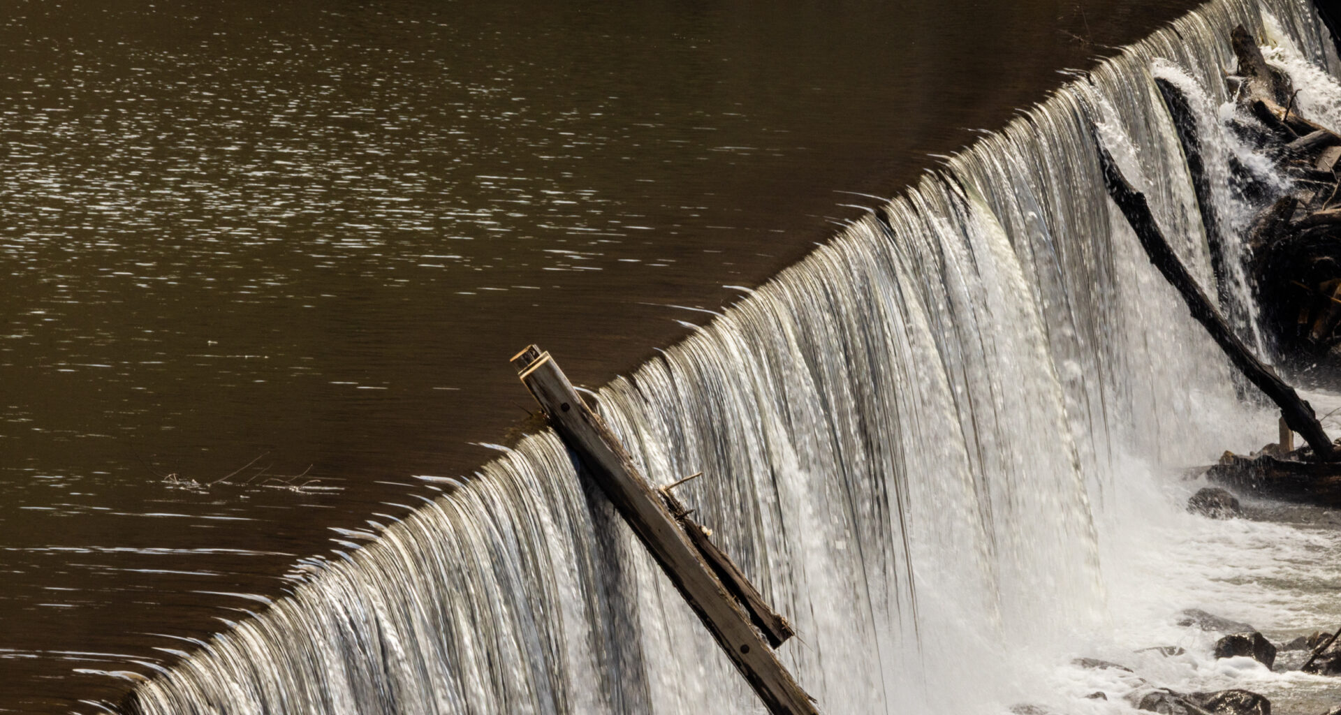With dam removal on the table, tensions flare between conservationists and Buncombe wastewater officials • Asheville Watchdog