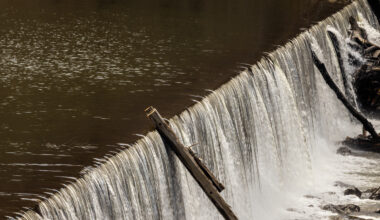 With dam removal on the table, tensions flare between conservationists and Buncombe wastewater officials • Asheville Watchdog