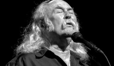 The two greatest American singers, according to David Crosby