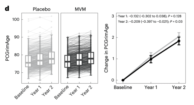 A Multivitamin Epigenetic Clock