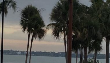 Broken valve dumps 14,000 gallons of wastewater into Sarasota Bay