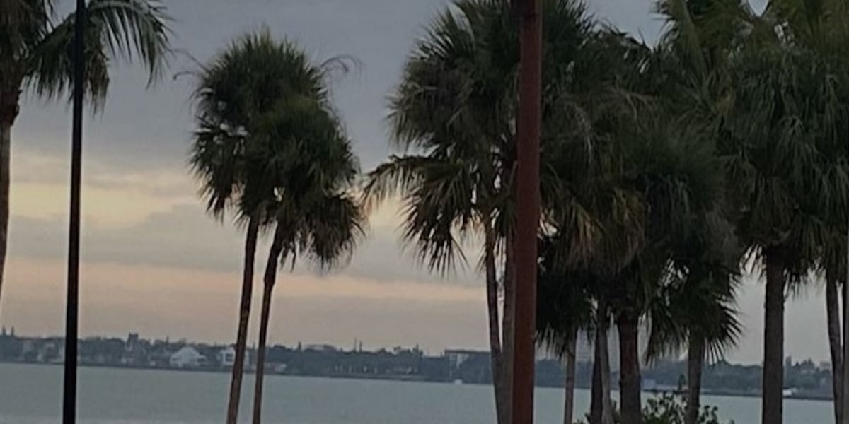 Broken valve dumps 14,000 gallons of wastewater into Sarasota Bay