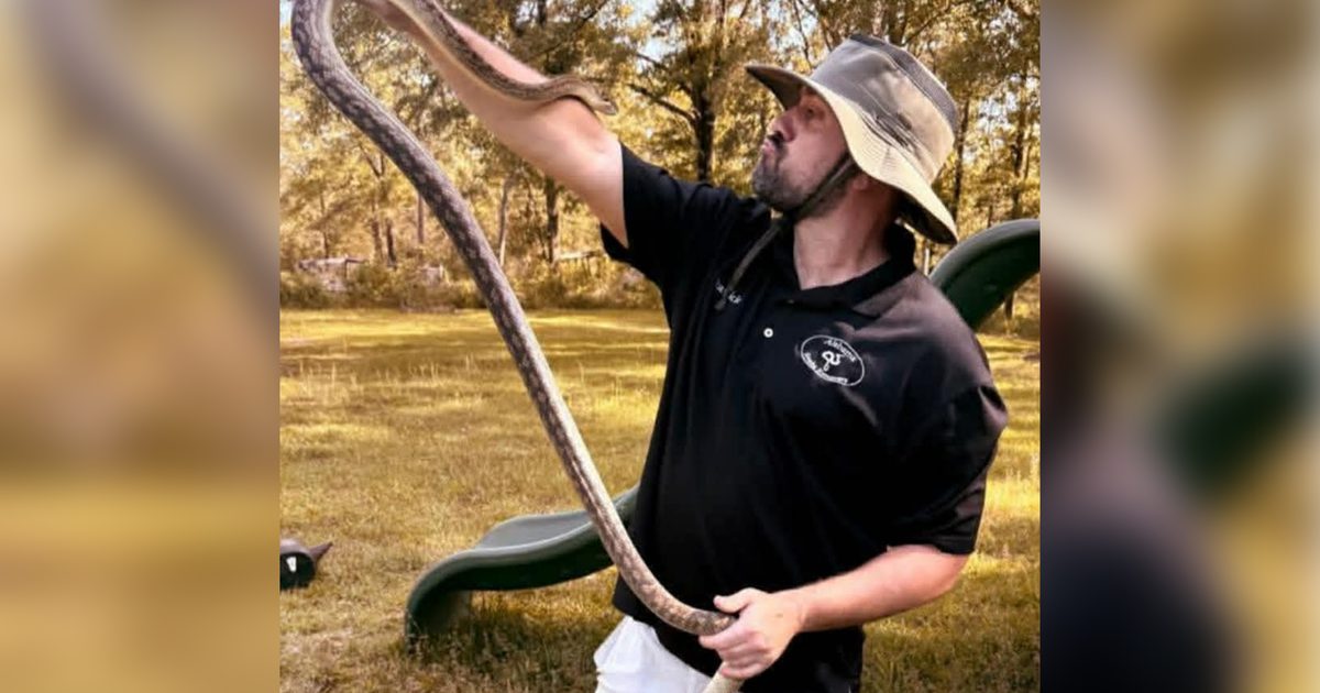 Alabama Snake Removers: Common myths debunked