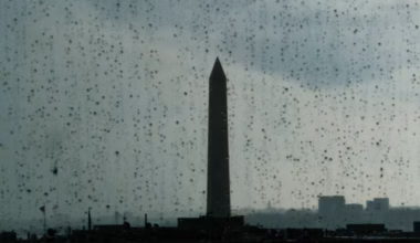 A rare tornado threat covers Mid-Atlantic, including D.C. area - The Washington Post