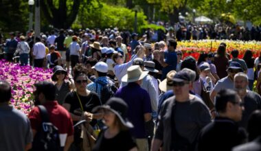 As Canada's population growth slows, an economic shift emerges - CTV News