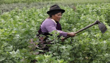 Modern agriculture is collapsing under climate change. Indigenous farming has answers.
