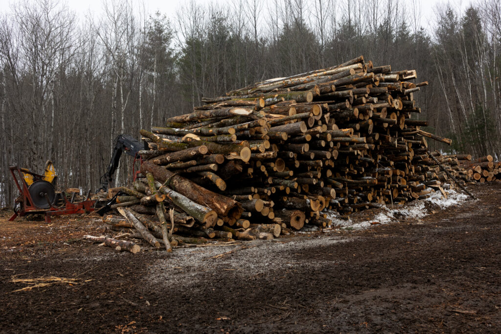 A logging operation is seen in New Hampshire’s White Mountain National Forest on Dec. 17, 2023. Credit: Andrew Lichtenstein/Corbis via Getty Images