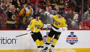 The case for and against each NHL wild-card playoff hopeful