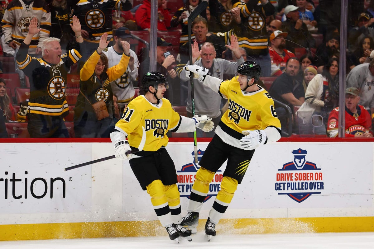 The case for and against each NHL wild-card playoff hopeful