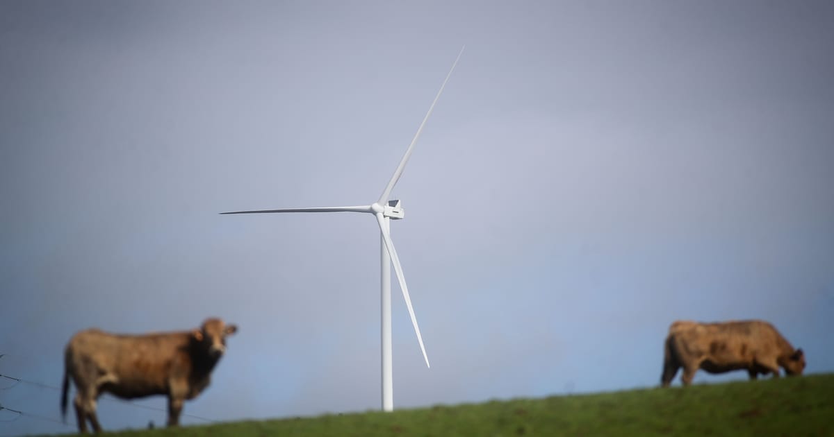 EU climate advisers say eat less meat and tax farm emissions – POLITICO