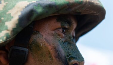 After America: How Southeast Asia can defend itself