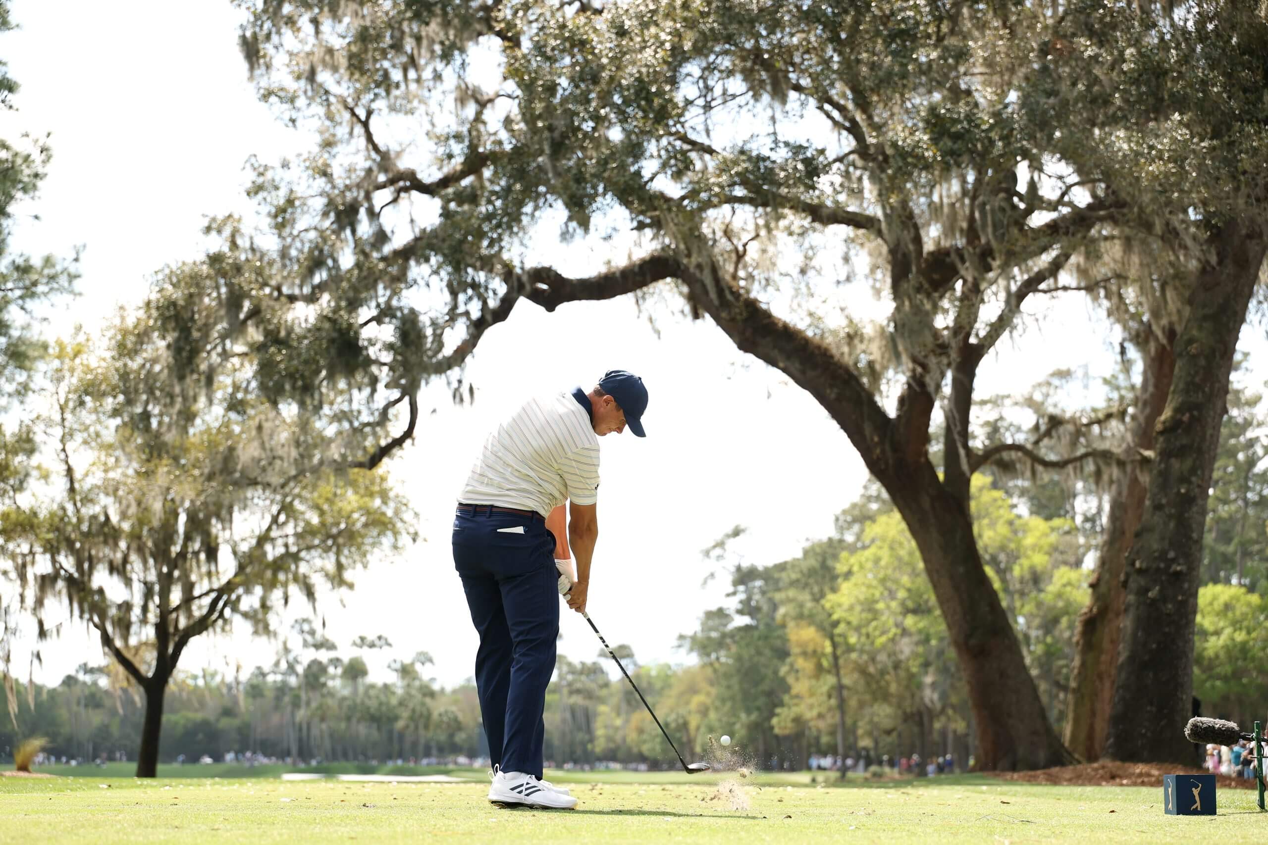 Ludvig Åberg tees off on the sixth hole, a large tree looming in front of him.