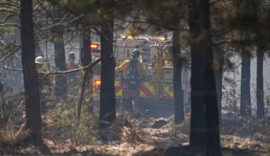 Crews work in the forest at the site of the Spring Pine Fire near Bastrop State Park on Monday in Bastrop, Texas. Credit: Aaron E. Martinez/The Austin American-Statesman via Getty Images