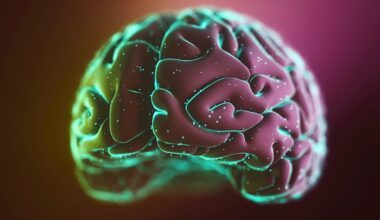 Exercise Triggers Memory-Related 'Brain Ripples', Study Finds : ScienceAlert