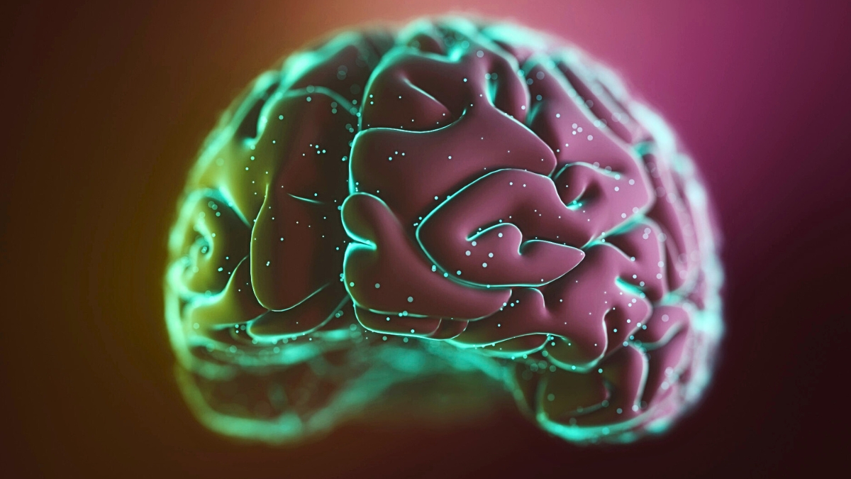 Exercise Triggers Memory-Related 'Brain Ripples', Study Finds : ScienceAlert